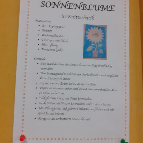 3b_Sonnenblume
