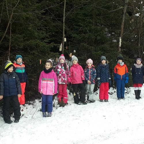 Waldpicknick 2b