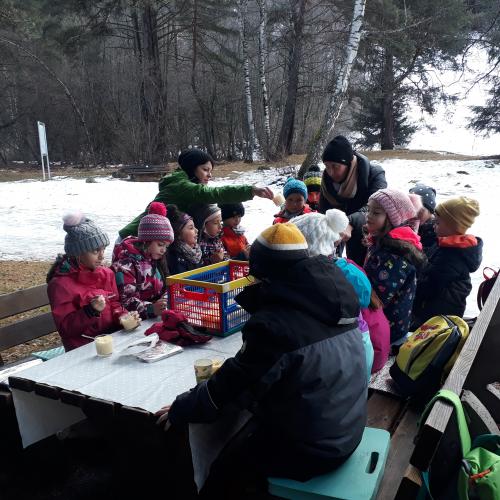 Waldpicknick 2b