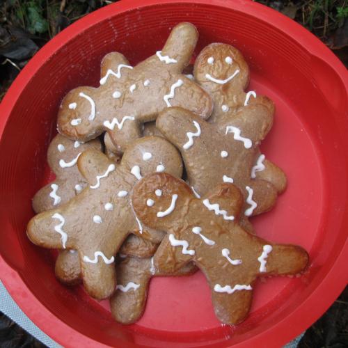 Waldweihnacht 9