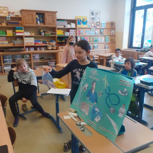 3b_Katharina