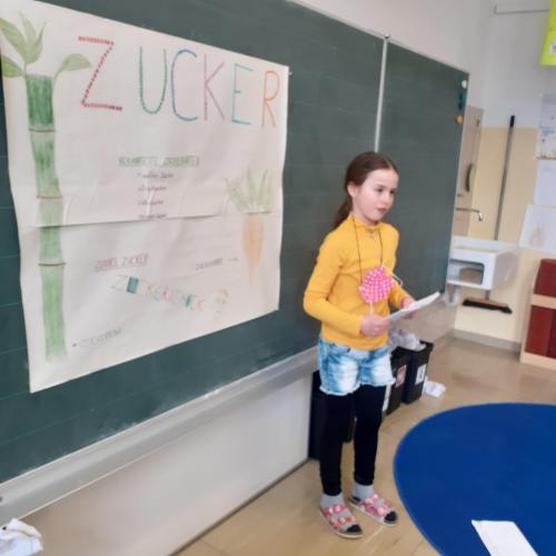 3b_Zucker