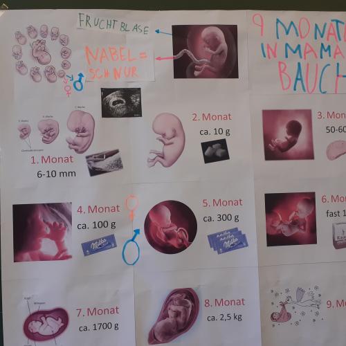 3b_Baby