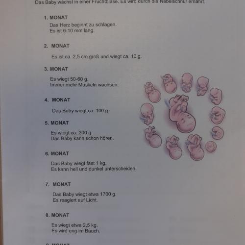 3b_Baby
