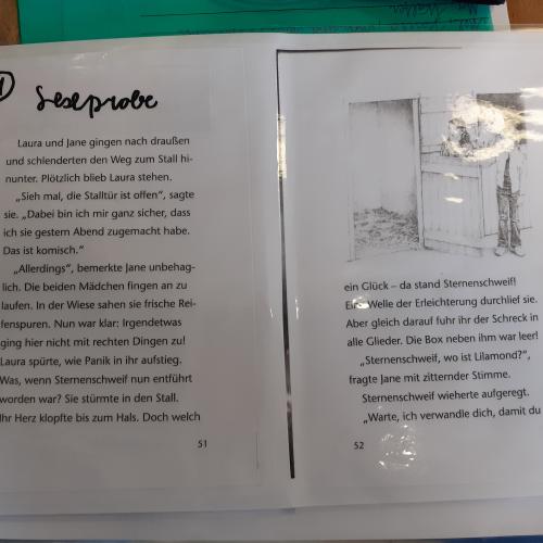 3b_Buchvorstellung