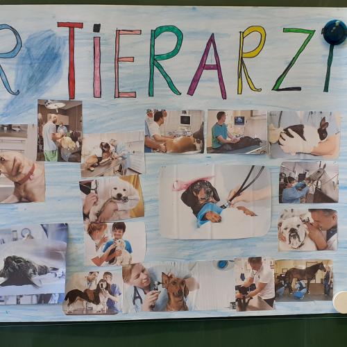 3b_Tierärztin