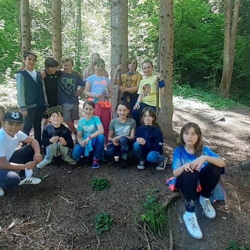 3b_Wald