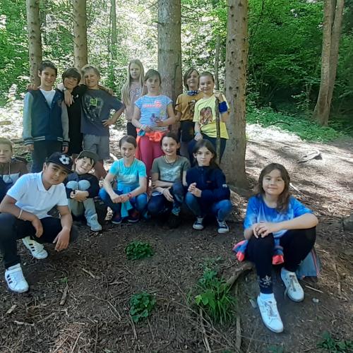 3b_Wald