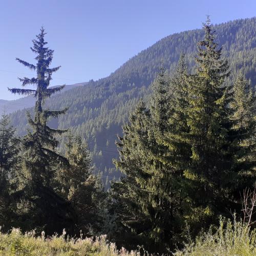 4b_Herbstwandertag