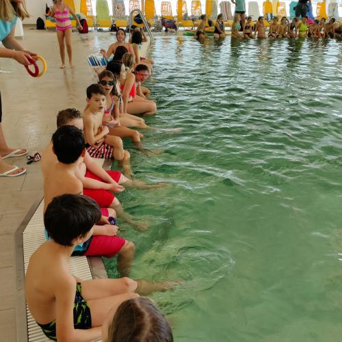 Schwimmen