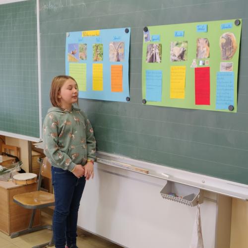 Referat Sophie 3b