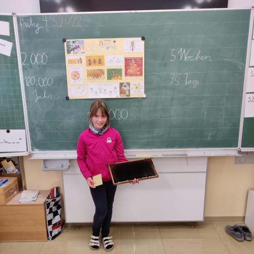 Referat Theresa 3b