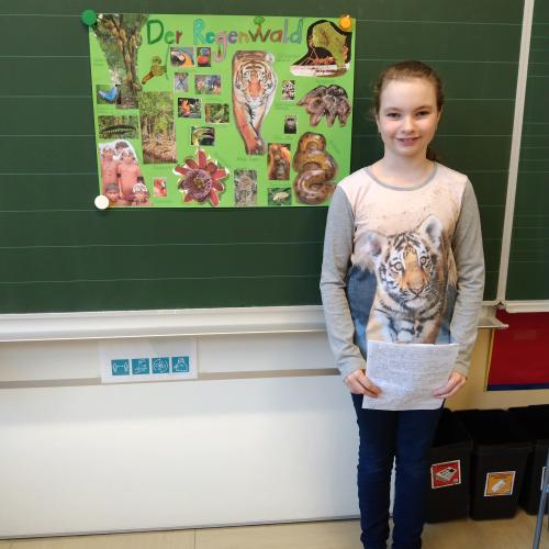 4b_Regenwald