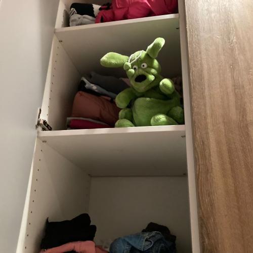 1b_Karibu