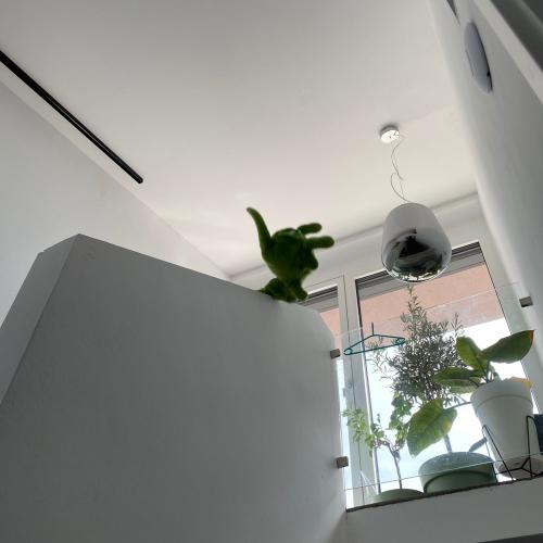 1b_Karibu