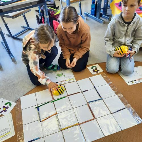 Beebots 3b