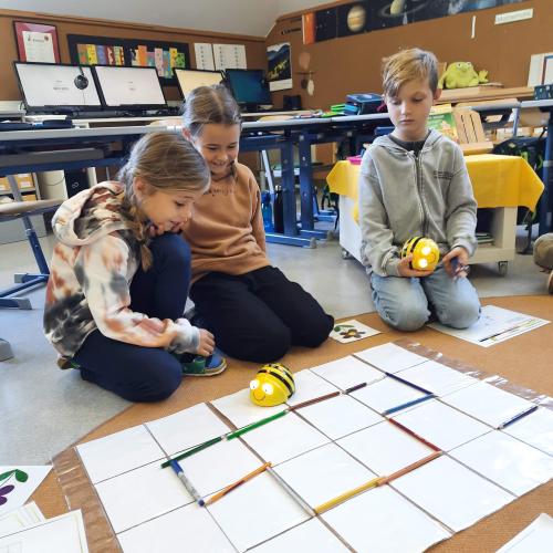 Beebots 3b