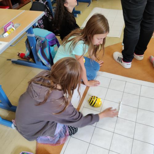 Beebots 4b