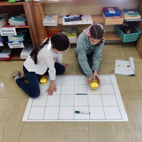 Beebots 4b