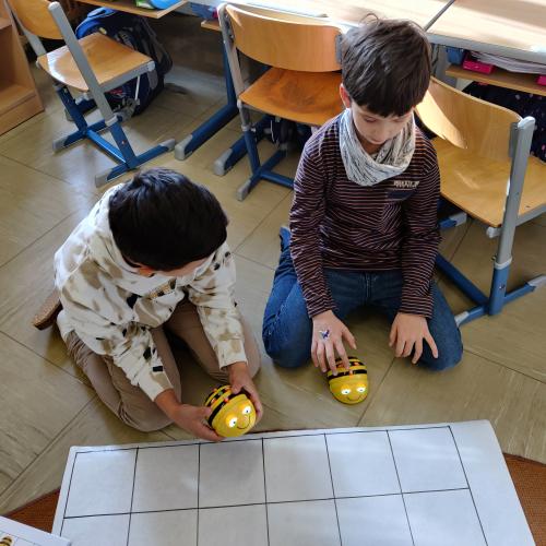 Beebots 4b