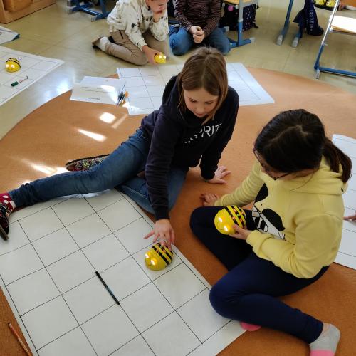 Beebots 4b
