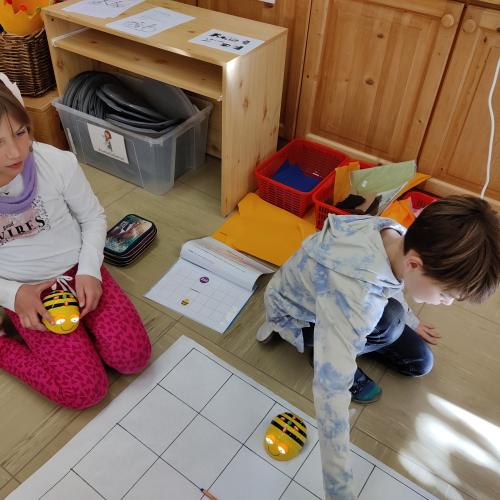 Beebots 4b