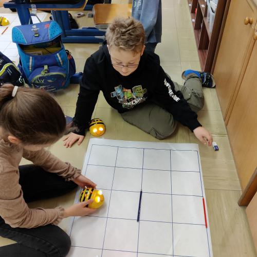Beebots 4b