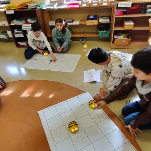 Beebots 4b
