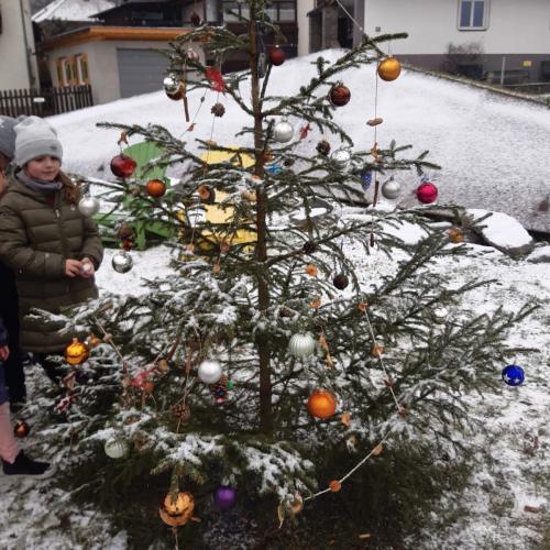Baum5