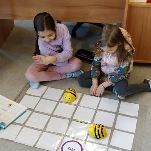 1b_Beebots