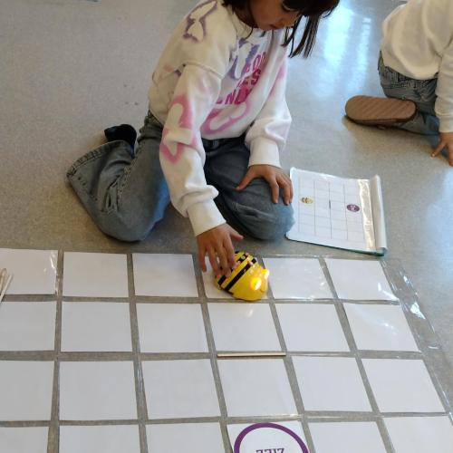 1b_Beebots