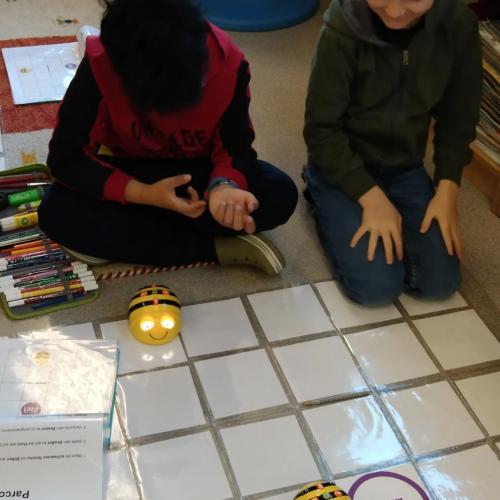 1b_Beebots