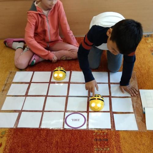 1b_Beebots