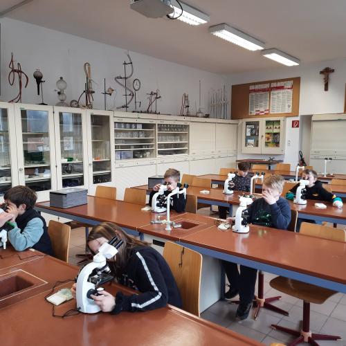 BiochemLab3b