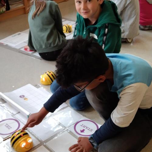 1b_Beebots