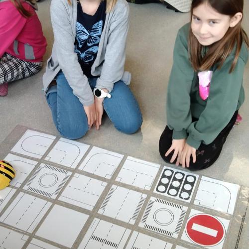 1b_Beebots