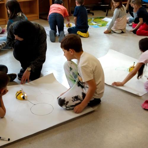 1b_Beebots