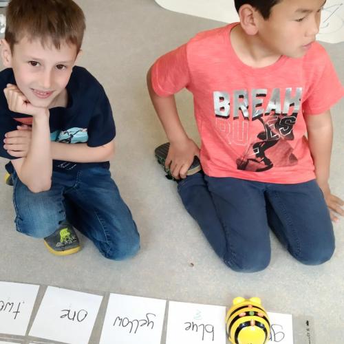 1b_Beebots