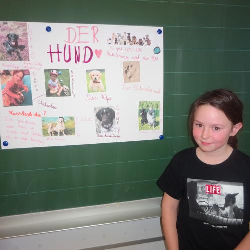 referat 4
