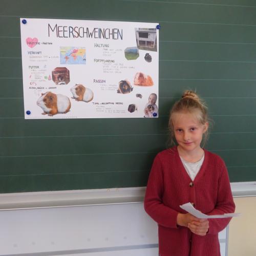 referat 8