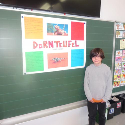 referat 10