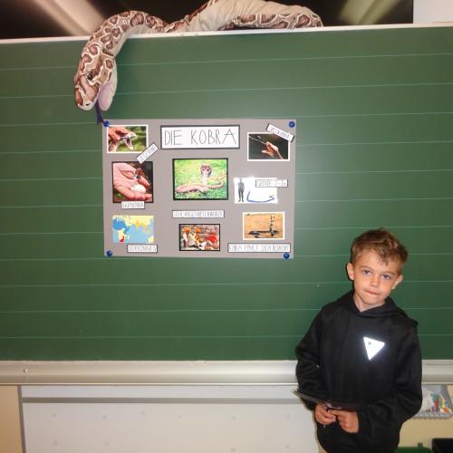 referat 11