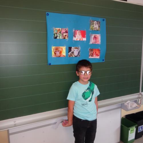 referat 12