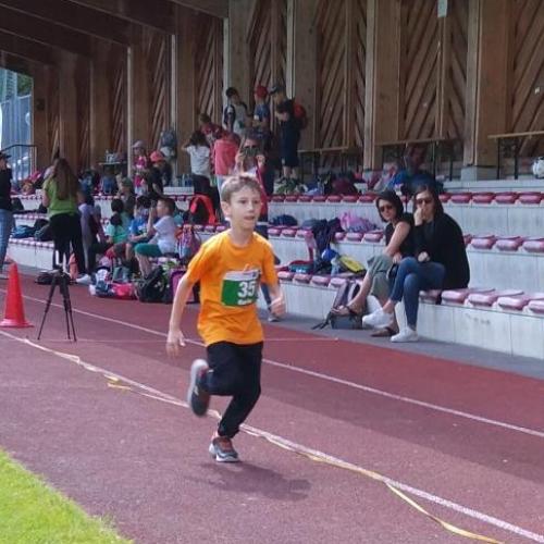 1b_ASVÖ