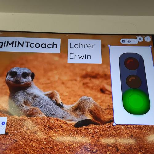 Digicoach Erwin 4b