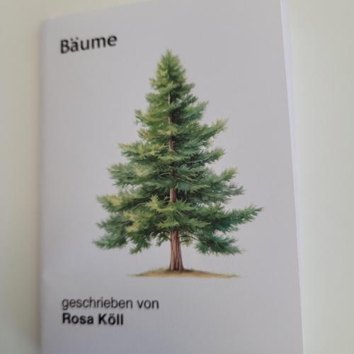 Referat Nadelbäume Rosa
