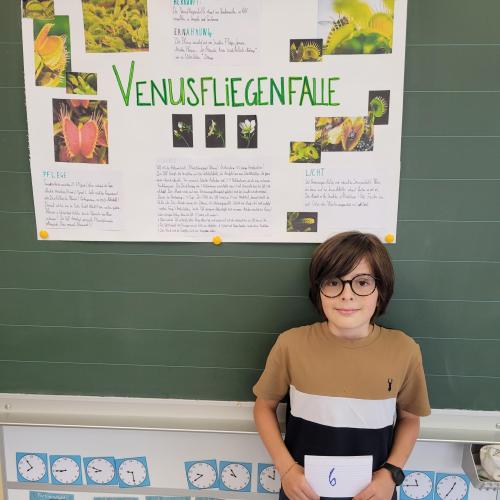 Referat Venusfliegenfalle Linus