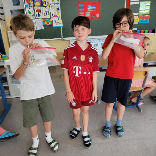 Referat Theo Allianzarena