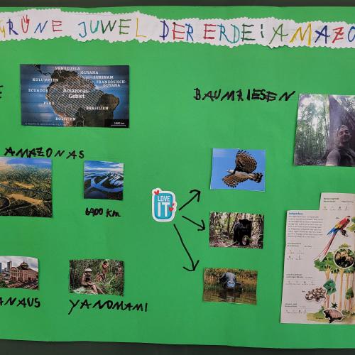 Referat Regenwald Enrico