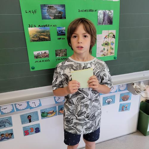 Referat Regenwald Enrico